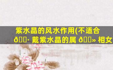 紫水晶的风水作用(不适合 🌷 戴紫水晶的属 🌻 相女)